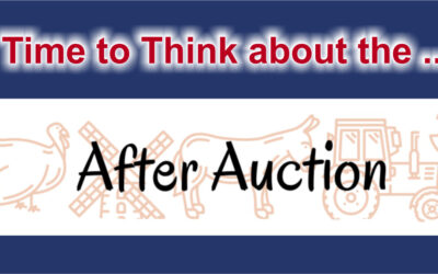 2026 After Auction